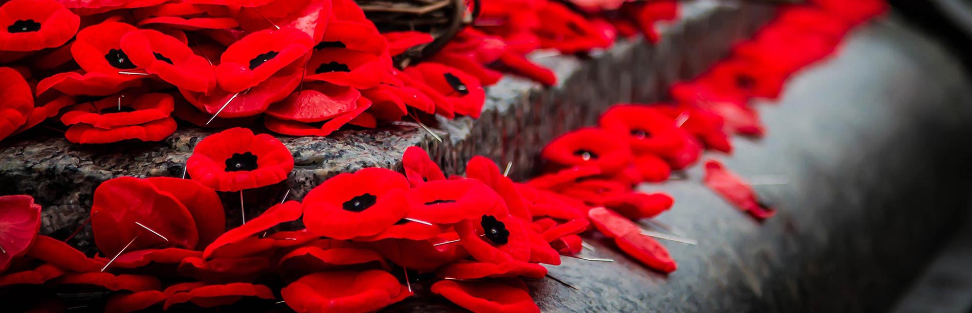 Poppy pins cover a war memorial.