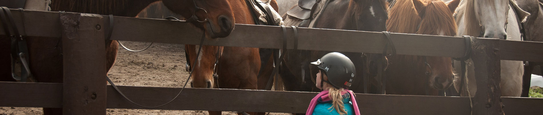 A little girl stands in front of a bunch of big horses.