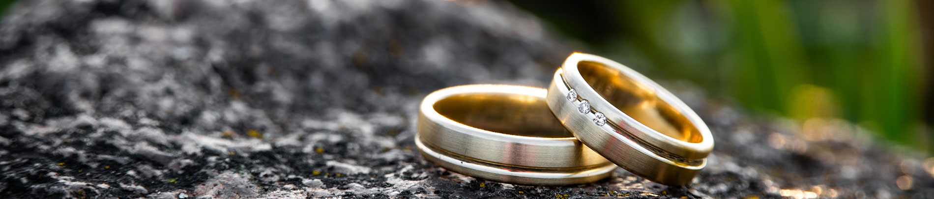 Wedding rings sit on a rock with green foliage in the background.