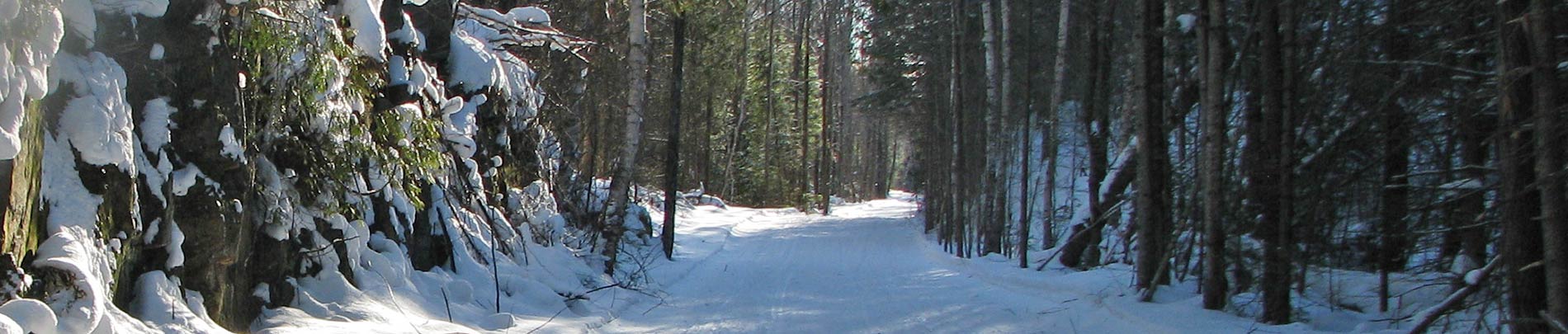 A snow covered trail in winter with sun shining down through the trees.
